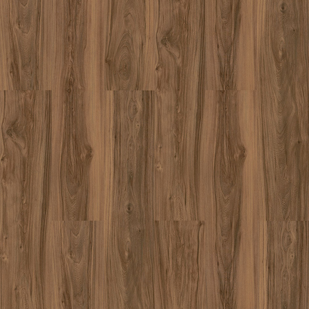 Astana Walnut – Sun