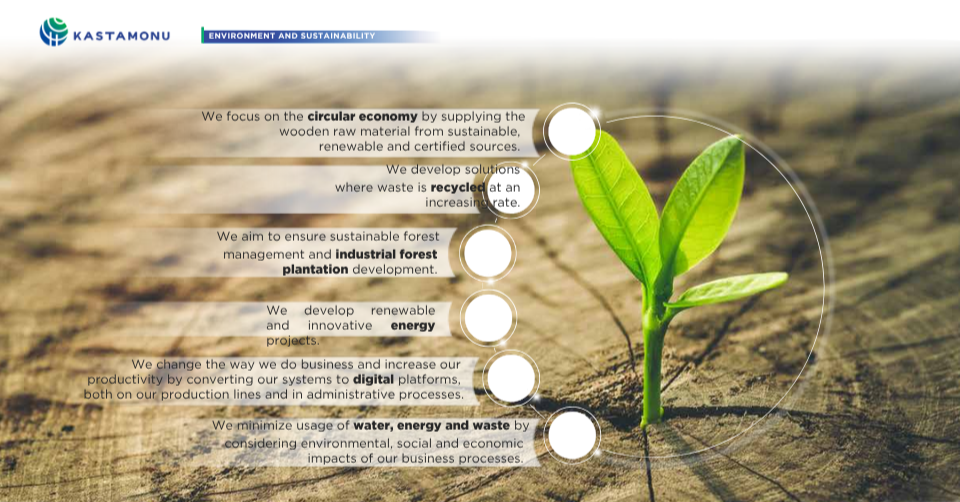 Business Illustration