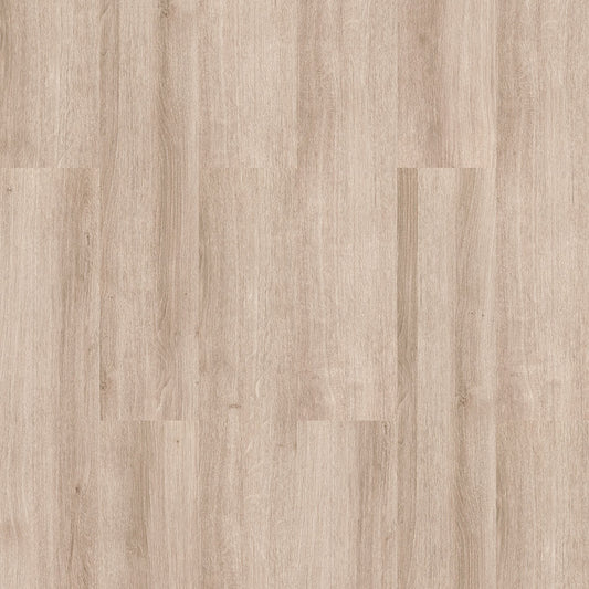 Assos Oak – Classic