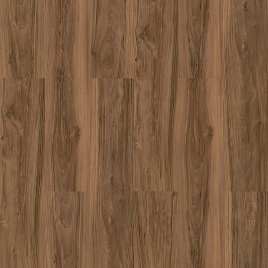 Astana Walnut – Sun