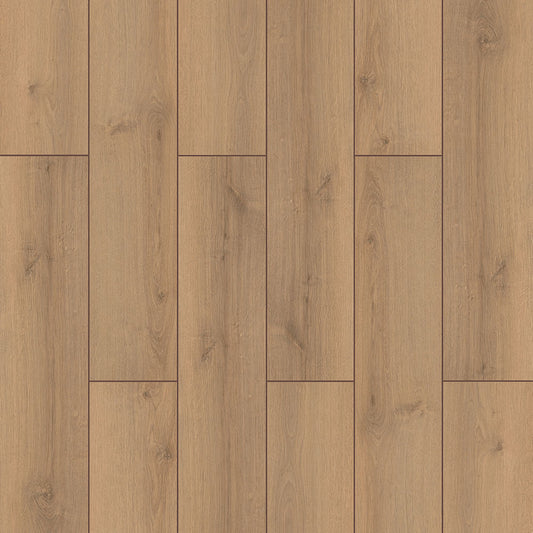 Canyon Oak – Elite XL